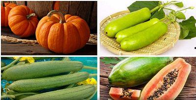 今日立秋吃瓜了吗视频