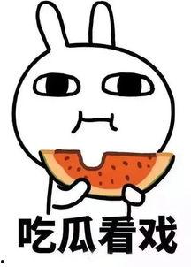 娱乐吃瓜酱爆瓜,揭秘娱乐圈最新热点事件